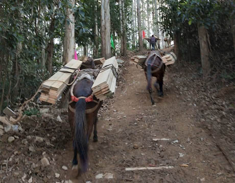 调兵山市马帮工程运输